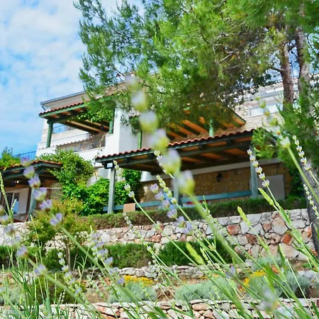 Blissful Bay - Classic Two Bedroom With Terrace